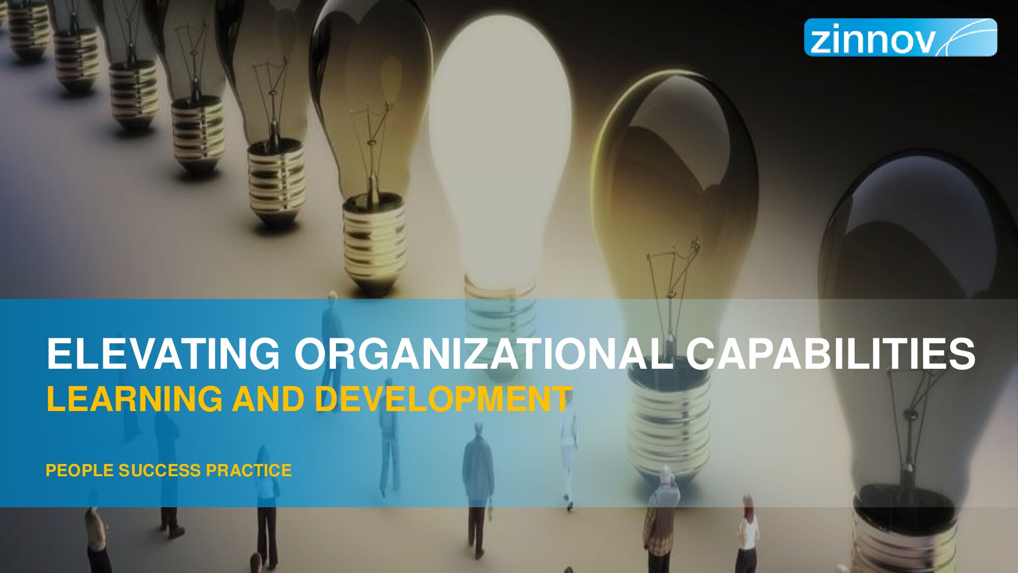 Elevating Organizational Capabilities - Learning & Development